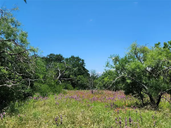 TBD County Road 127, Rising Star, TX 76471
