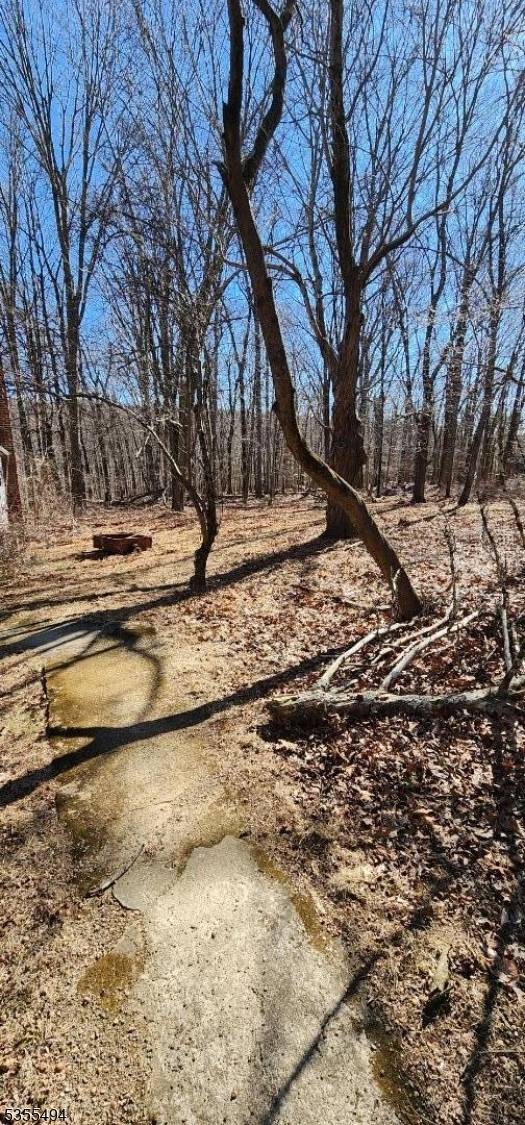 Glen Gardner Boro, NJ 08826,0 Ns Sanatorium Road