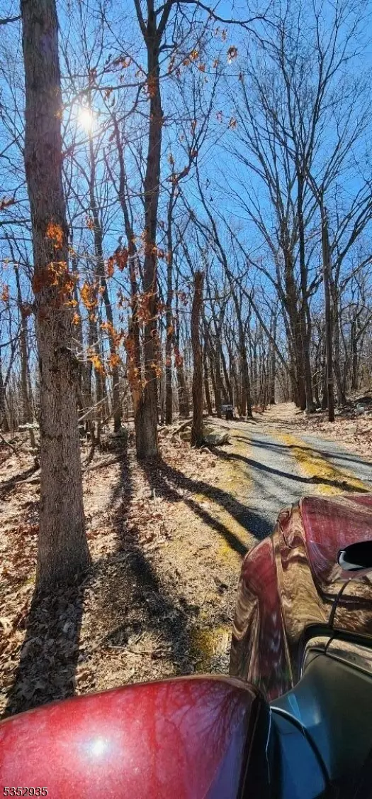 Glen Gardner Boro, NJ 08826,0 Ns Sanatorium Road