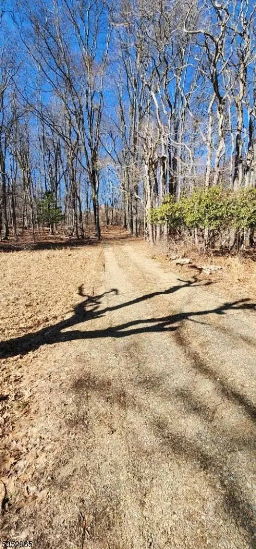 Glen Gardner Boro, NJ 08826,0 Ns Sanatorium Road