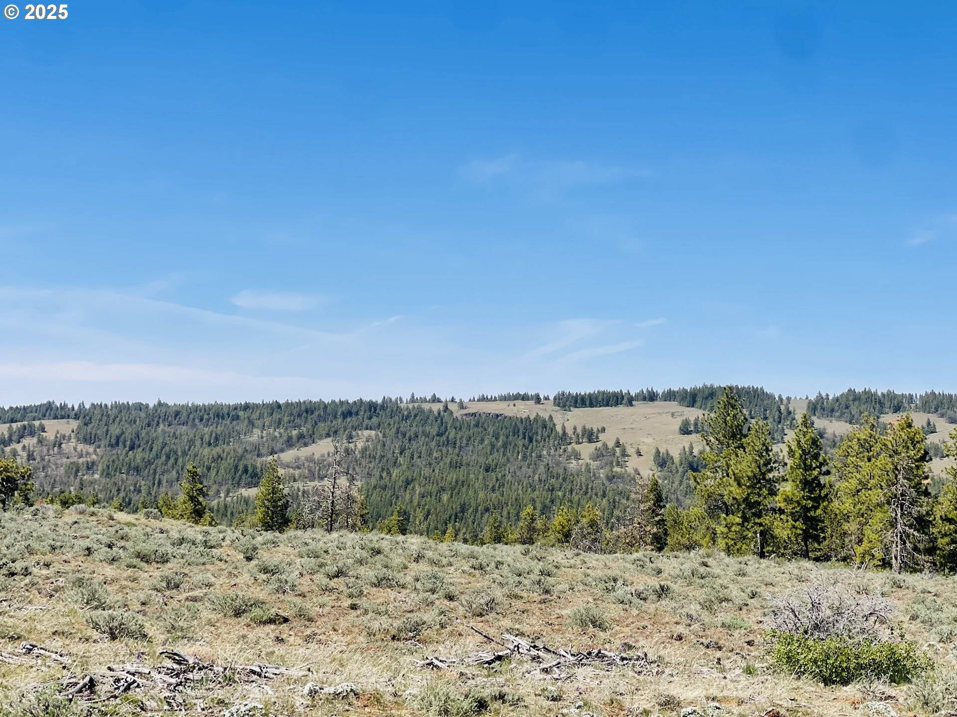 Bickleton, WA 99322,Jensen Quarry RD