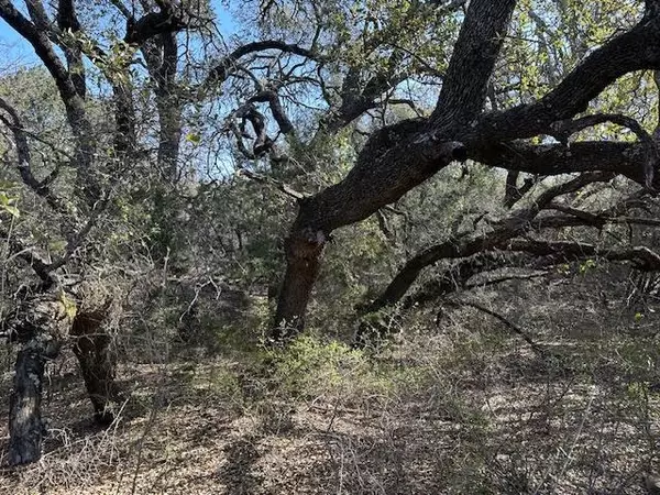 Graford, TX 76449,2738 Shooting Star Court