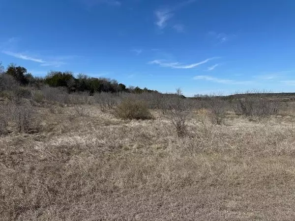 Graford, TX 76449,1055 Spotted Owl Court