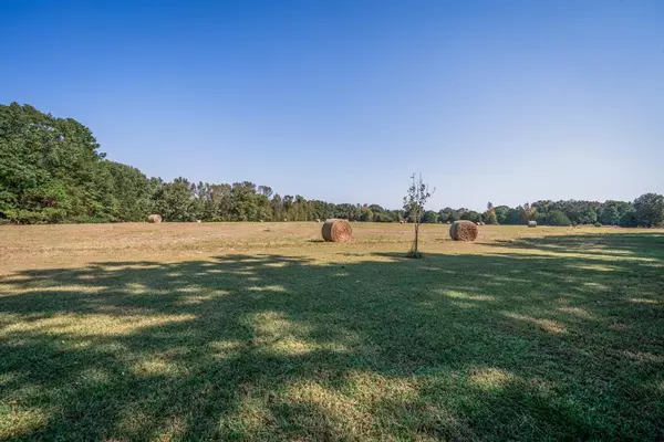 Mineola, TX 75773,325 County Road 2715