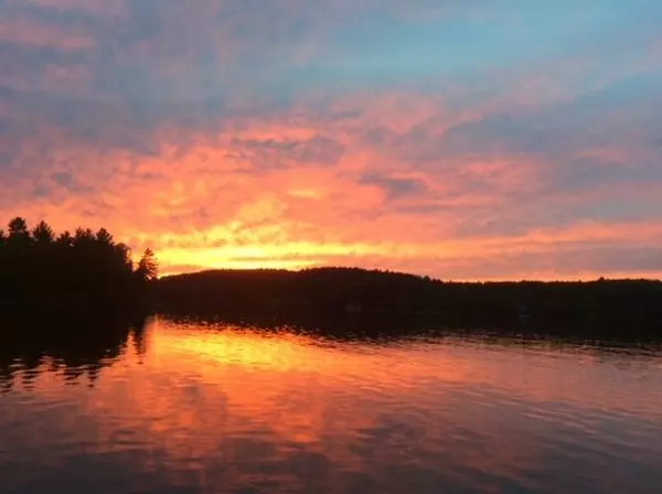 Temagami, ON P0H 2H0,28 Cassels Lake Island N/A #C