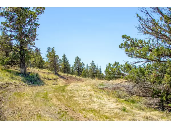 Prineville, OR 97754,SE Magnum CT