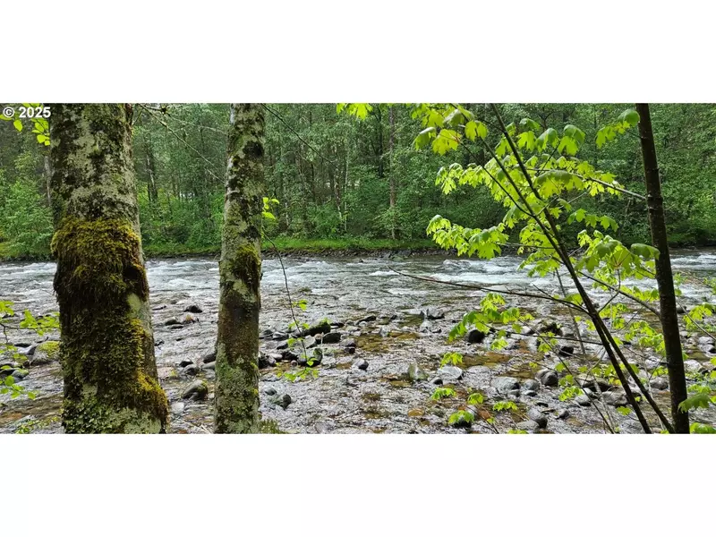 63956 E BARLOW TRAIL RD, Rhododendron, OR 97049