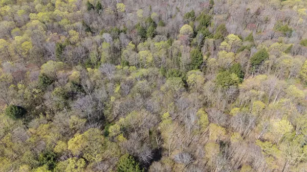Highlands East, ON K0L 3K0,2494 Hadlington RD