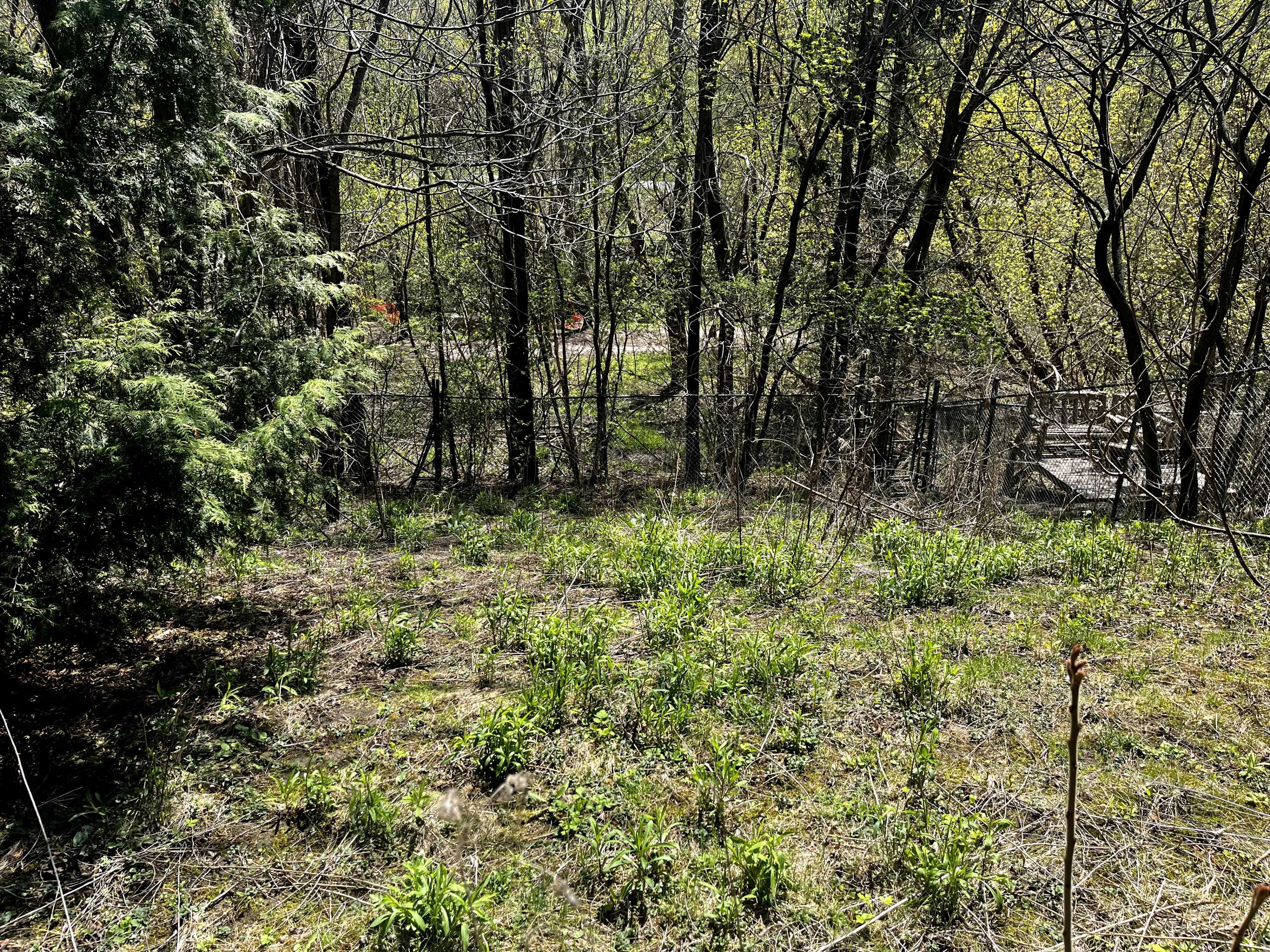 Toronto E03, ON M4B 2M7,33 Notley PL