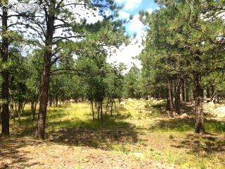 Colorado Springs, CO 80906,667 Silver Oak GRV