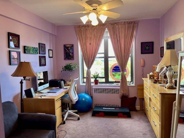 Brooklyn, NY 11229,3105 Avenue V #6F