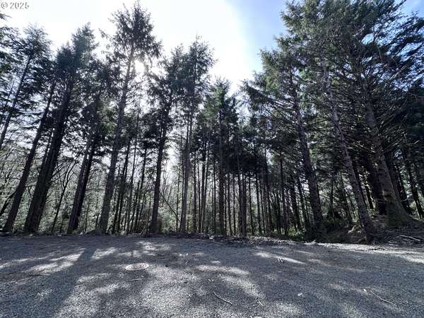 Greenleaf Road, Arch Cape, OR 97102