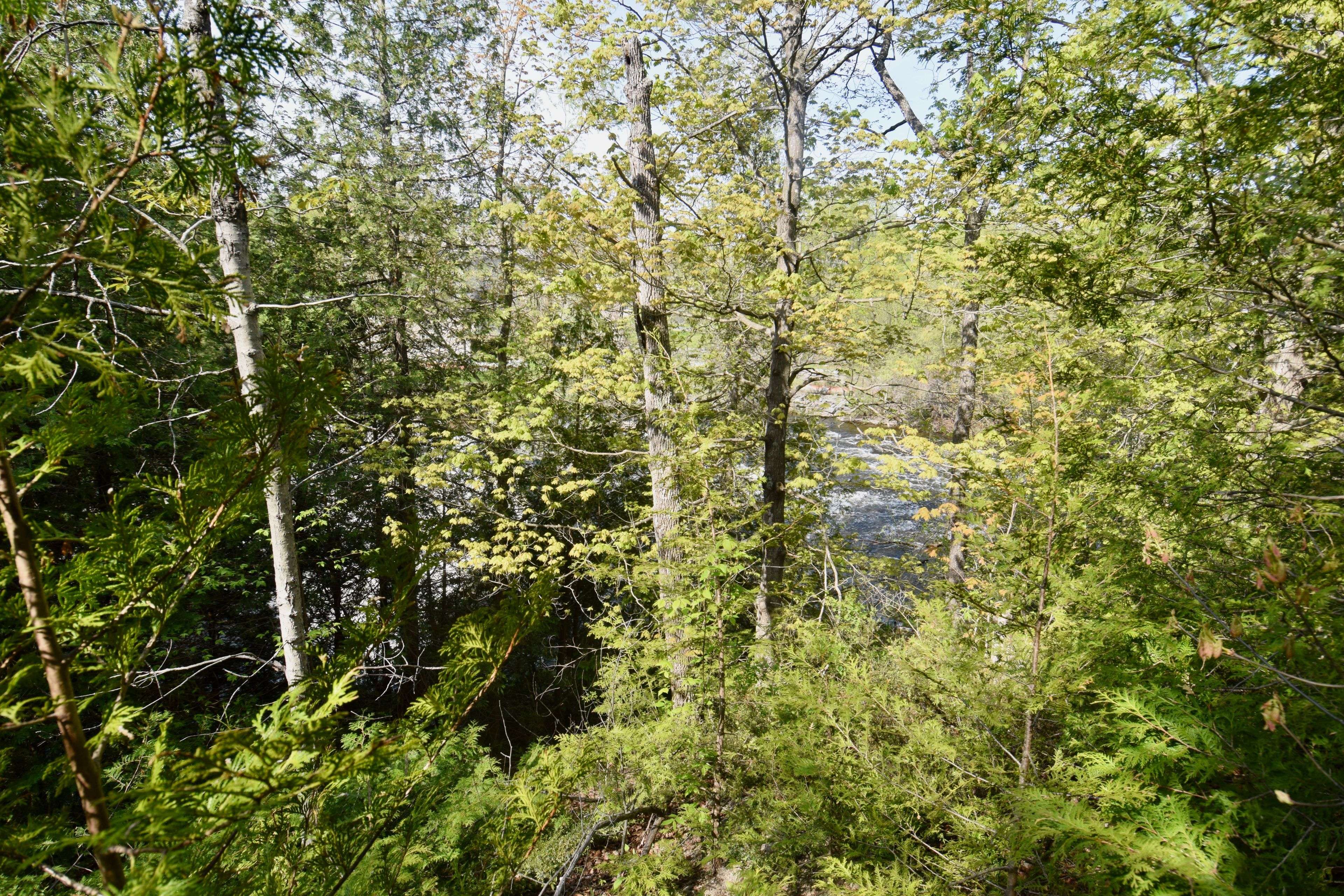 Stone Mills, ON K0K 3G0,~20 Ballantra DR