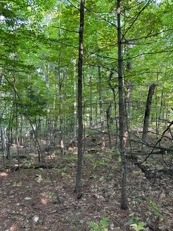 Muskoka Lakes, ON P0B 1J0,1000 Island Park RD