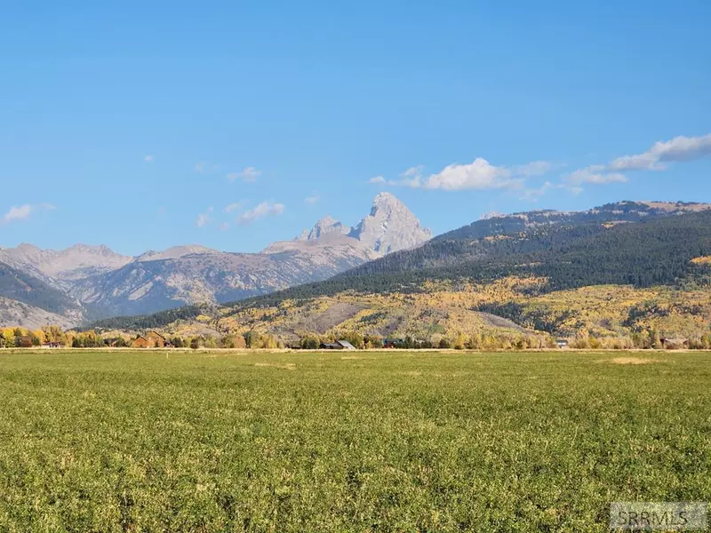 1739 Wildflower Way, Driggs, ID 83422