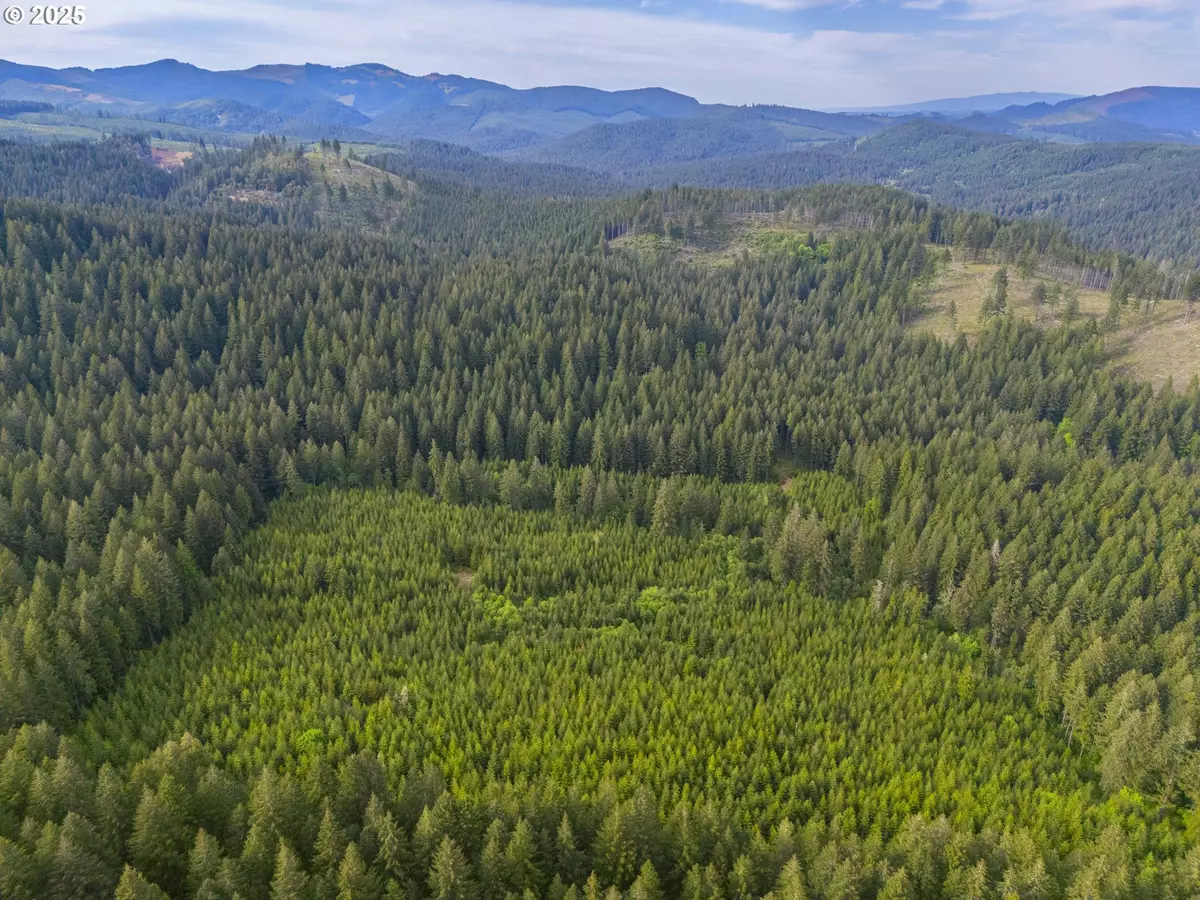 Marcola, OR 97454,0 Shotgun Creek RD