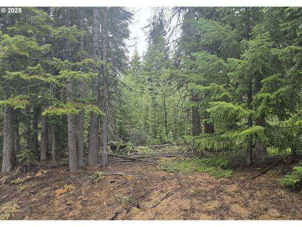 5 Royce Pine RD, Crescent Lake, OR 97733
