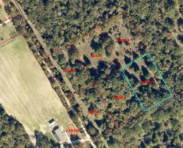 Streetman, TX 75859,TBD SE County Road 2380 TRACT 3