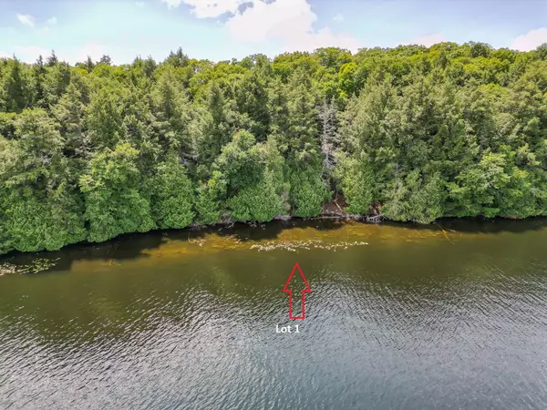 LOT 1 ESIG LN, Lake Of Bays, ON P1H 2J6