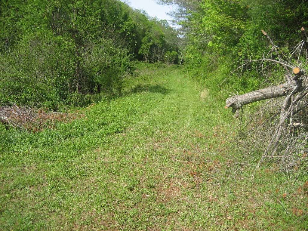 Dugspur, VA 24325,654 Silverleaf