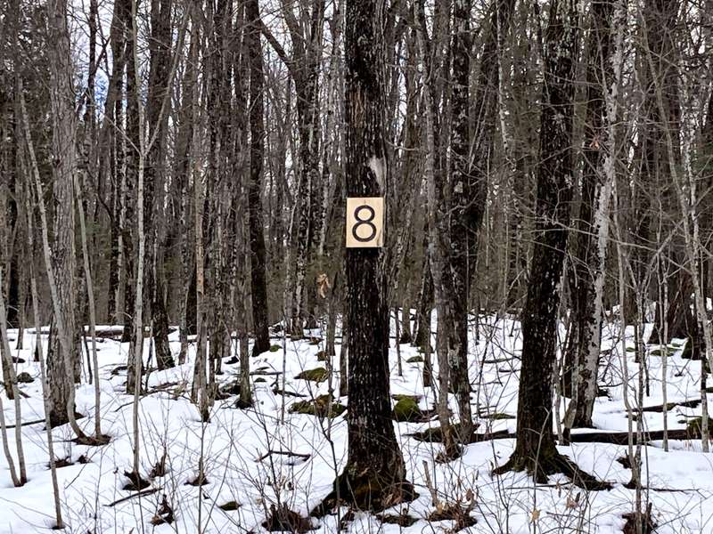 Address Not Disclosed