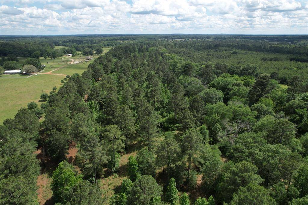 Henderson, TX 75654,TBD FM 13