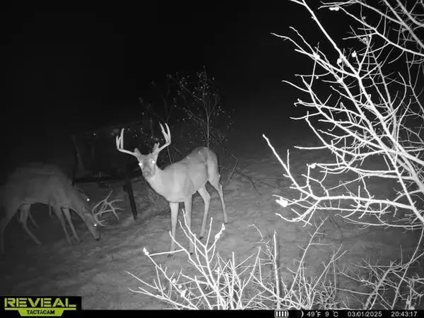 Abbott, TX 76621,TBD HCR-3112