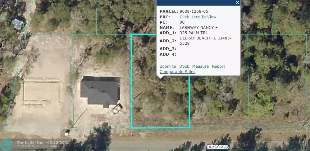Ocklawaha, FL 32179,19 Guava Pass