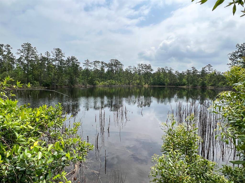 Silsbee, TX 77656,000 FM 2937/Old Arco Road