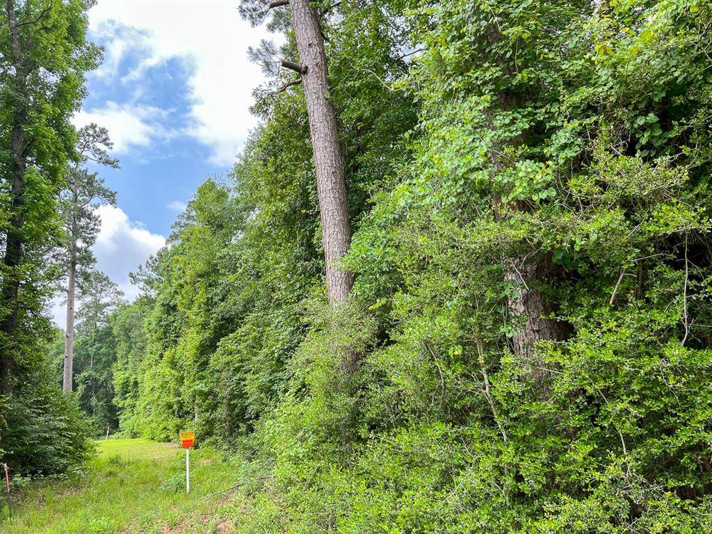 Silsbee, TX 77656,0000 FM 2937/Old Arco Road