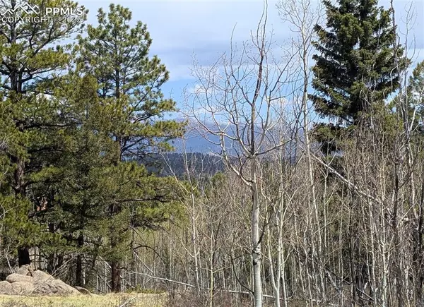 Lake George, CO 80827,43 Spanish Bit DR