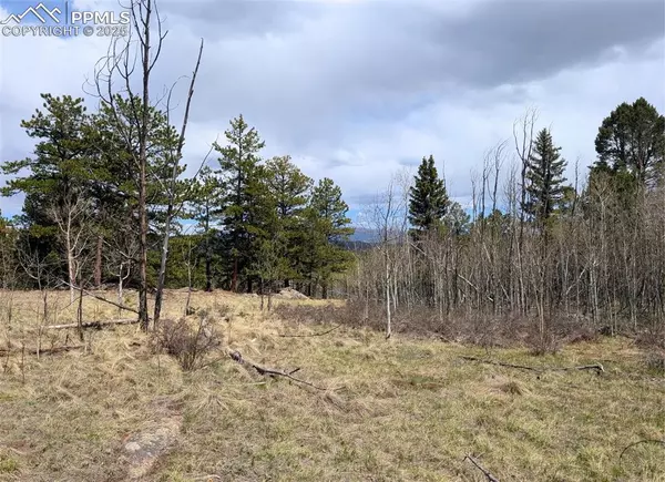 Lake George, CO 80827,43 Spanish Bit DR