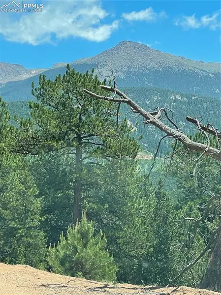 L8 Horseshoe DR, Divide, CO 80814