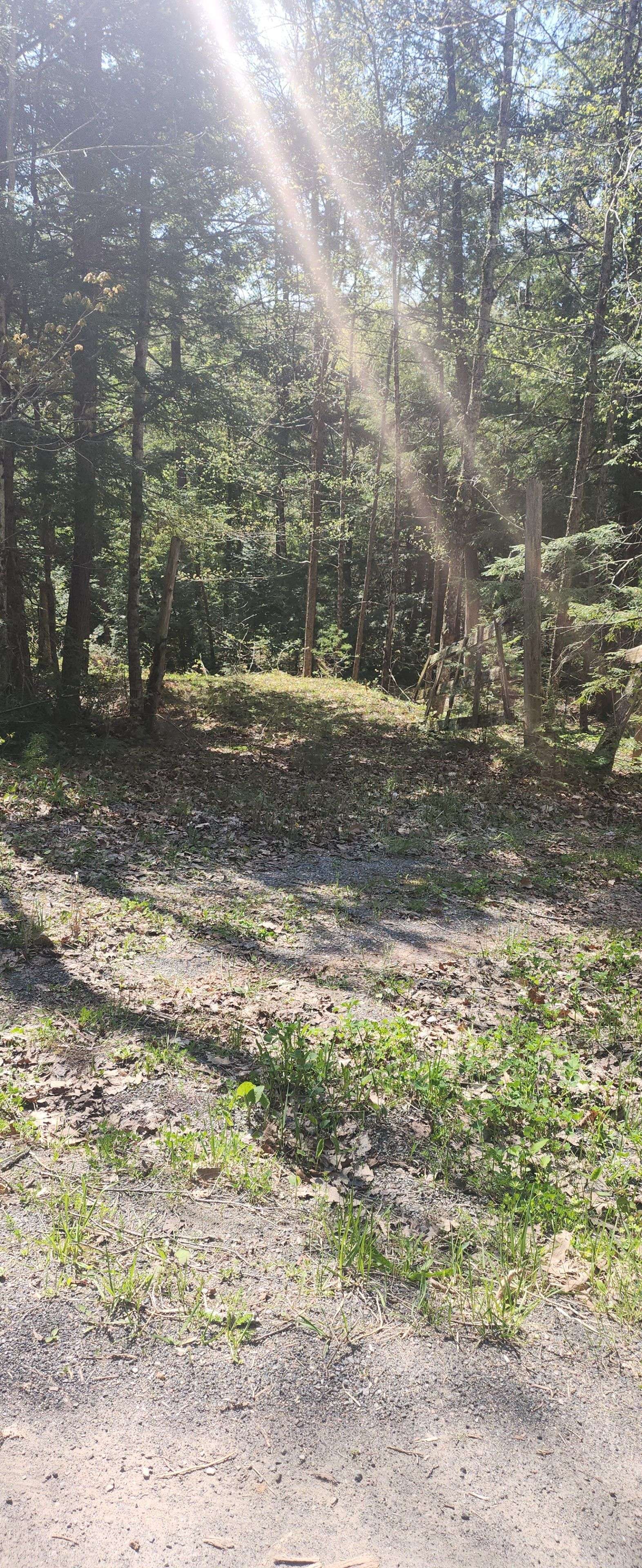 Havelock-belmont-methuen, ON K0L 1Z0,00 Fire Route 67 N/A