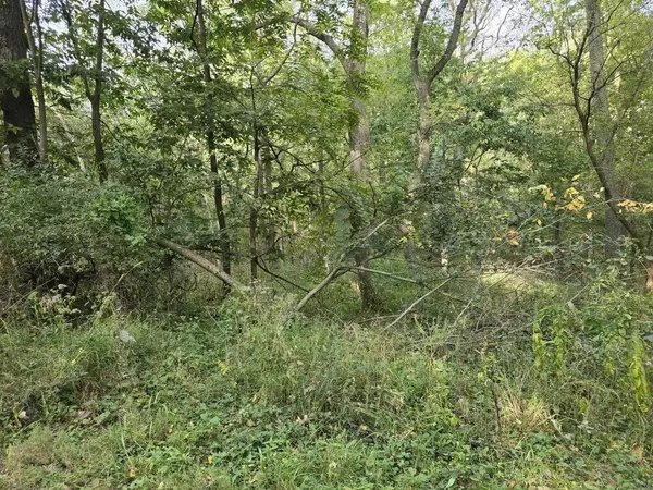 Galena, IL 61036,TBD West Street