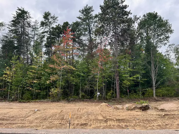 Madawaska Valley, ON K0J 1B0,Lot 35 Yantha CRES