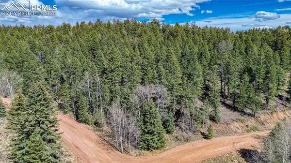 Florissant, CO 80816,3075 N Mountain Estates RD