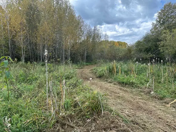 Rural Smoky Lake County, AB T0A 3C0,61015 Range Road 174