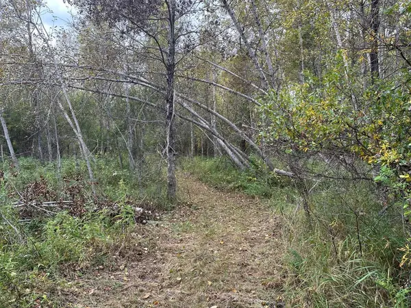 Rural Smoky Lake County, AB T0A 3C0,61015 Range Road 174