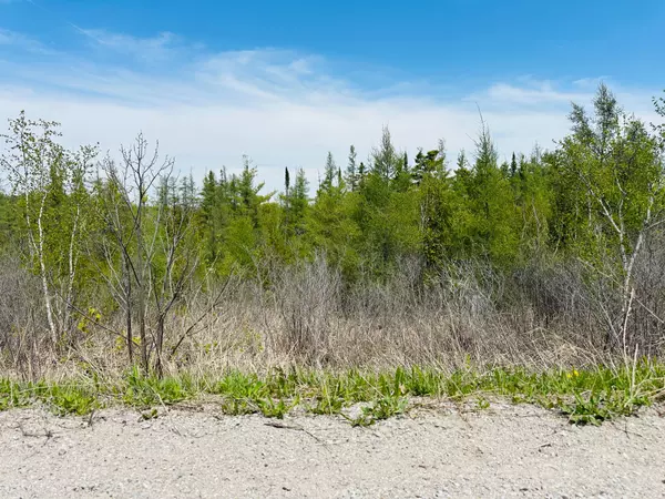 Severn, ON L0K 2C0,Lot 43 County Rd 16 N/A