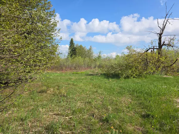 Melancthon, ON L9V 2J4,238527 4th Line