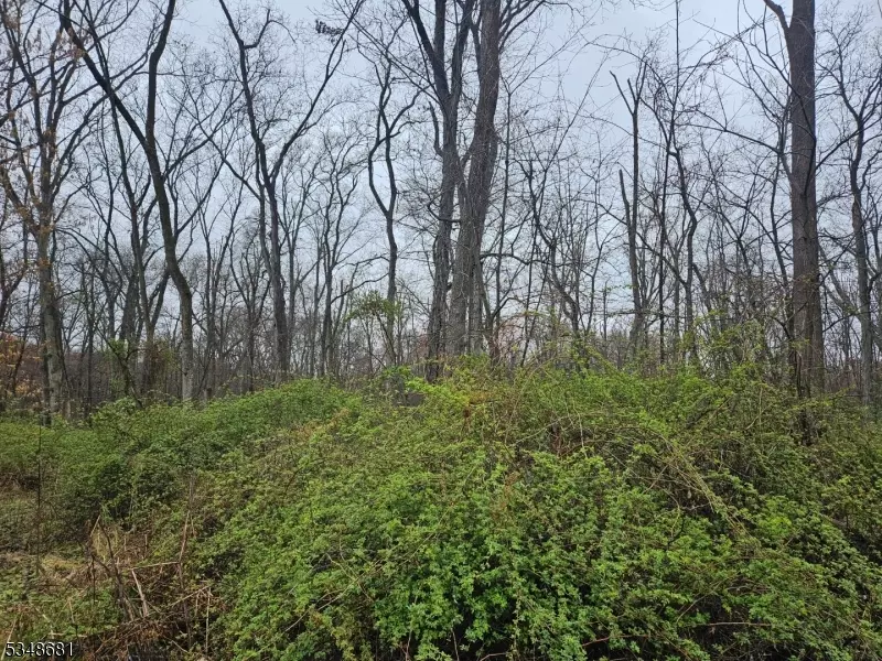 West Amwell Twp., NJ 08551,9 Hilltop Rd