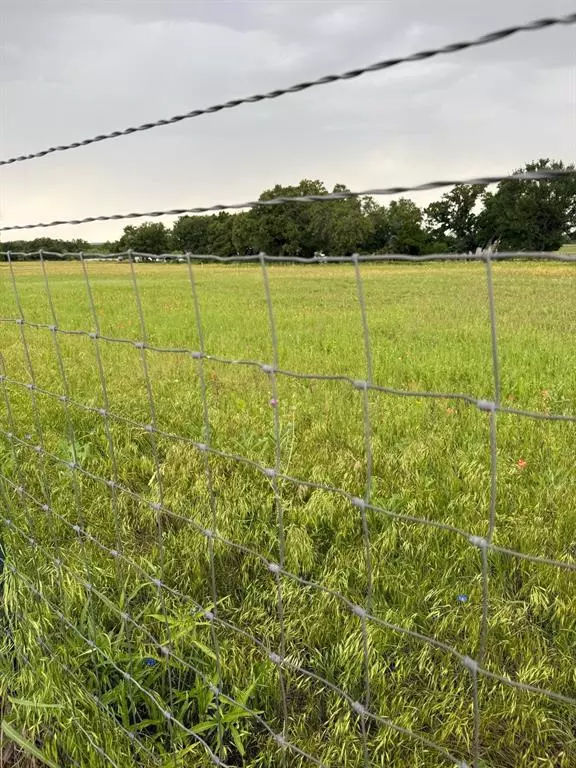 Santo, TX 76472,TBD Sadie Ln