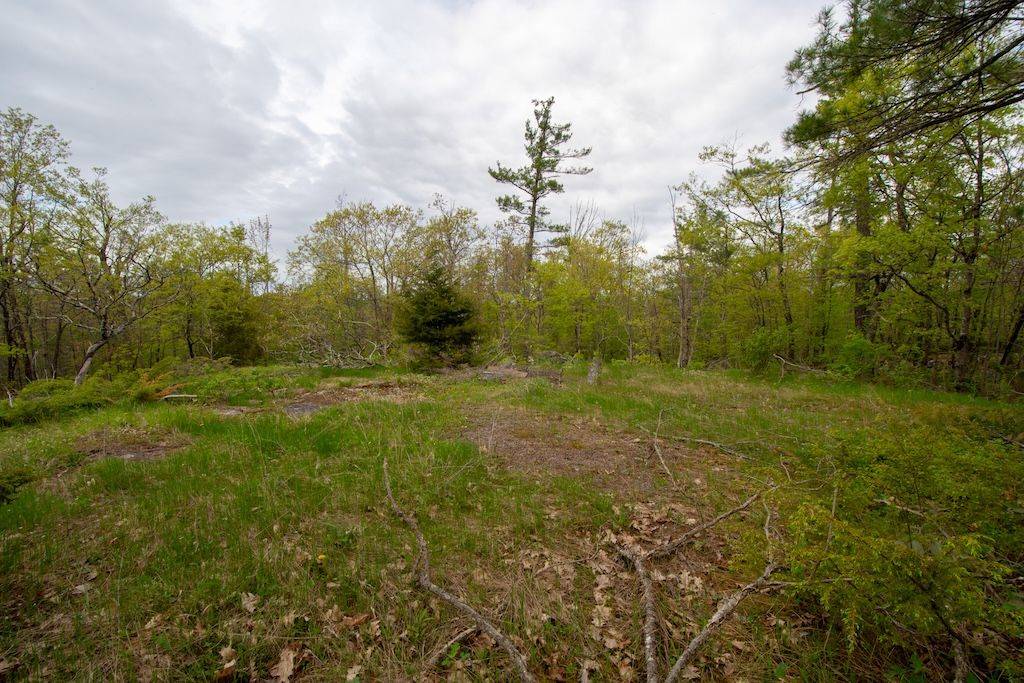 Selwyn, ON K0L 2H0,0 Tedford DR