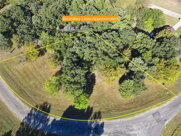 Kerens, TX 75144,Lot 65 Sombrilla Lane