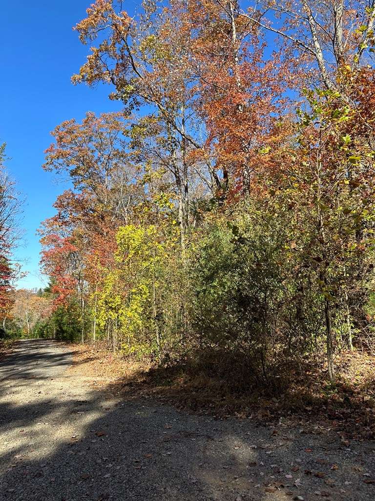 Fancy Gap, VA 24328,555 Evergreen Trail