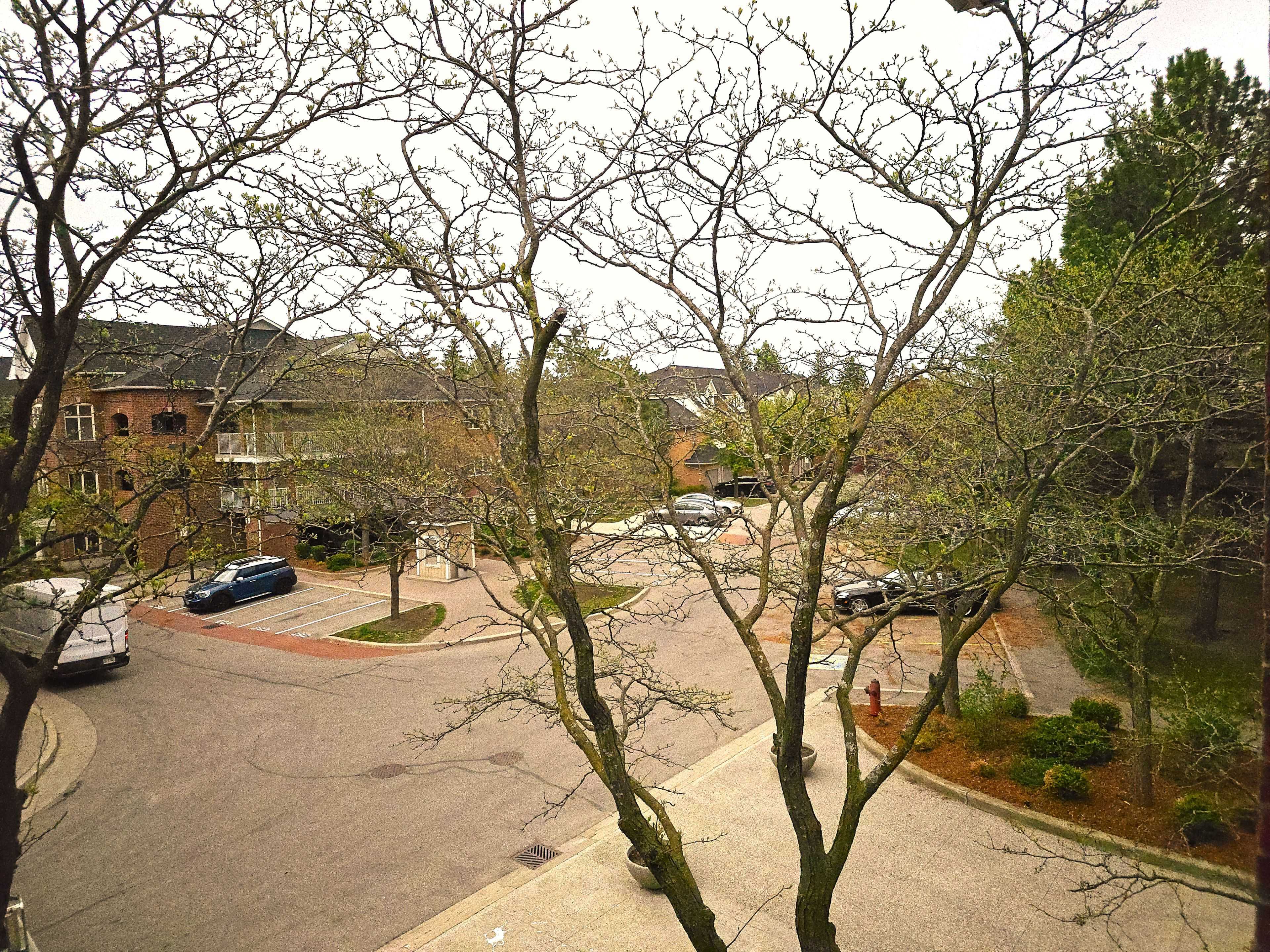 Mississauga, ON L4Z 3P4,101 Bristol RD E #224