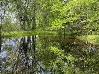 Lake Creek, TX 75450,00 Fm 198