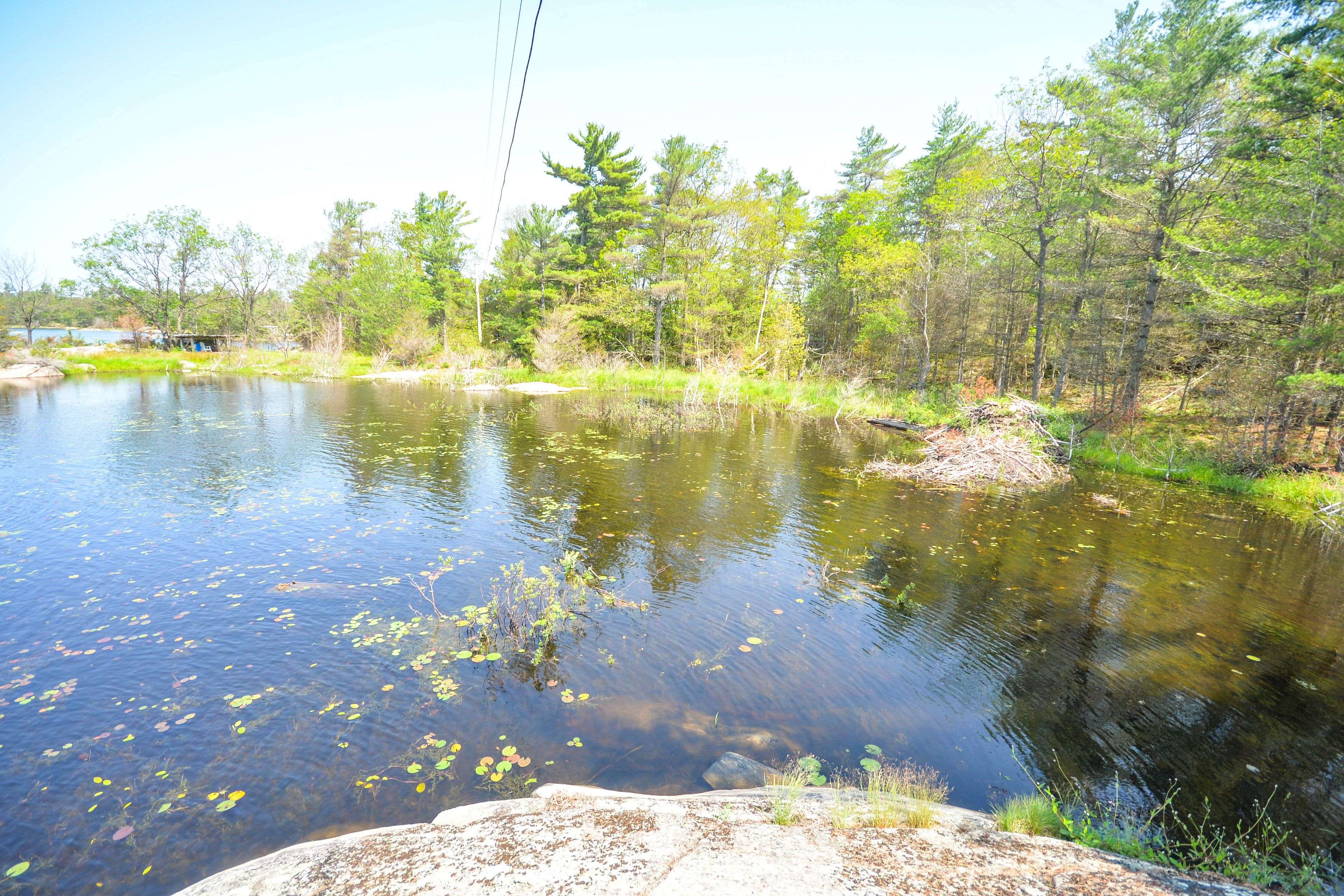 Georgian Bay, ON P0C 1H0,4648 Is 2190 Georgian Bay N/A