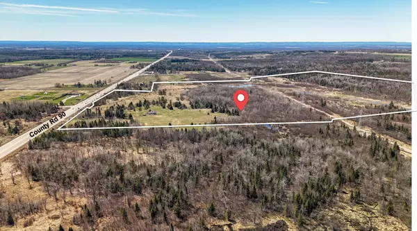 Springwater, ON L0L 2N0,4518 County Rd 90 N/A